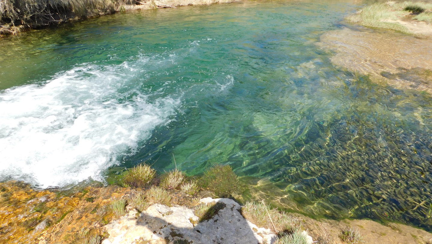 pozas de palomera