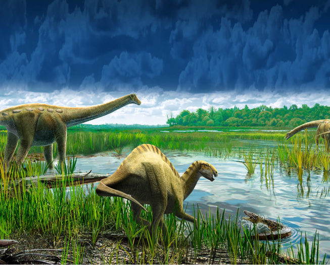 Dinosaurios | La Alquería del Hoyo Dinosaurios | La Alquería del Hoyo