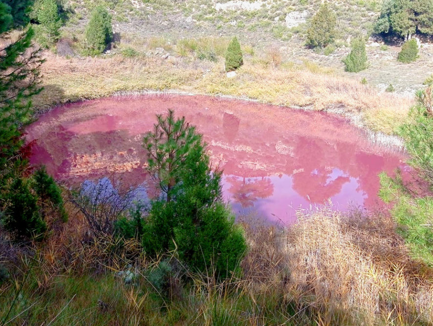 Laguna rosa de Cañada del Hoyo